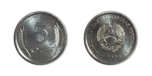 5 Copeici, 2005