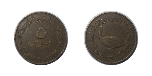 5 Fils, 1973